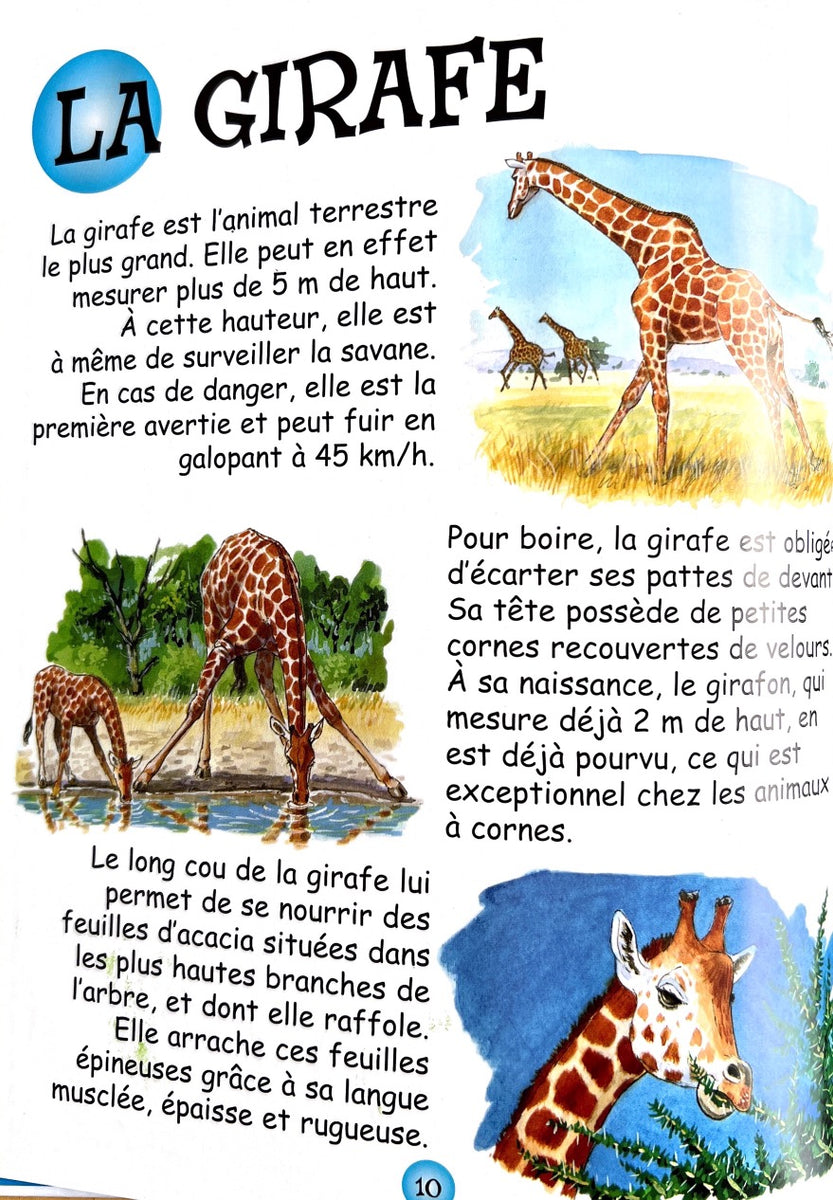 Infographie pédagogique : animaux de la Savane - La grande Image Doc