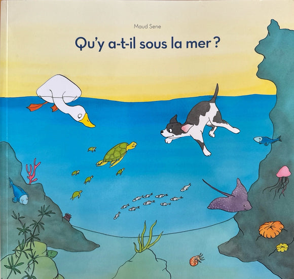 Qu'y a t-il sous la mer