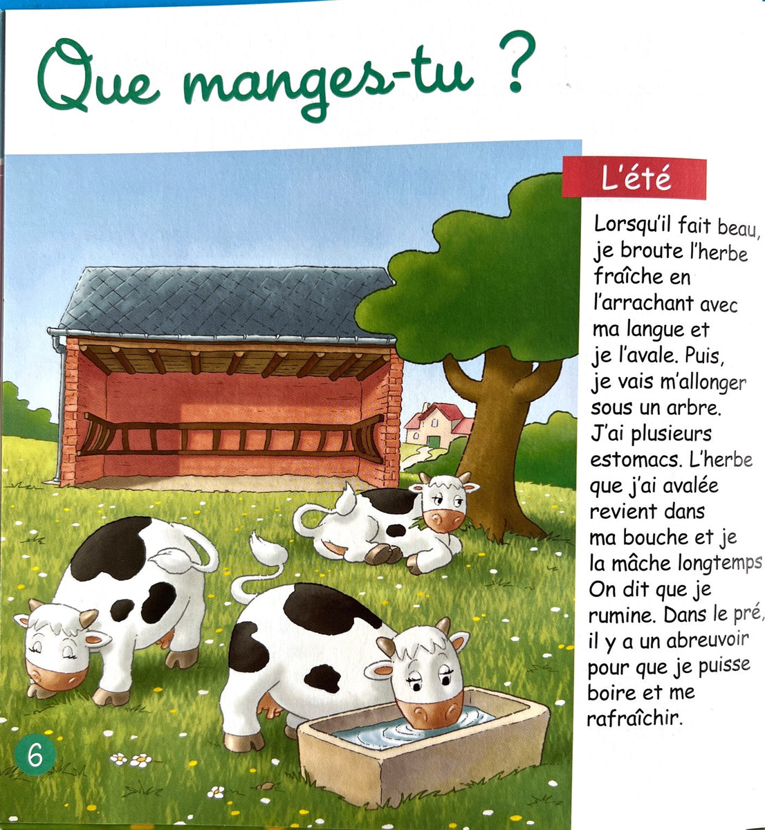 Les animaux de la ferme - La vache - Book in French – My French bookstore